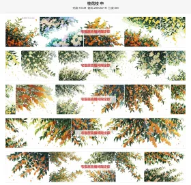 桂花枝中