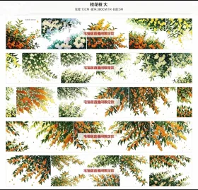 桂花枝大
