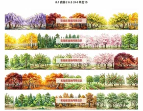森林2小