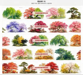 组合树1大