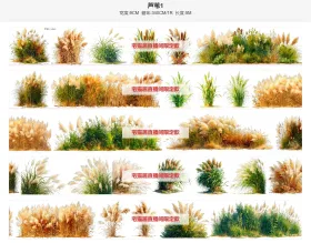 芦苇1单排