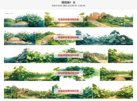 荷花岸1__大