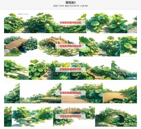 荷花岸2