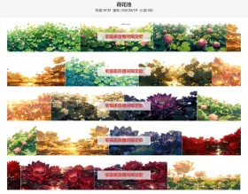 荷花池单排