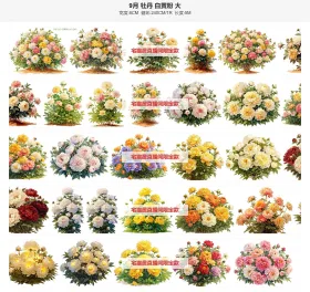 9月牡丹白黄粉单排